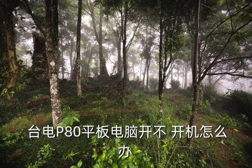 臺電p80自動開機,本地新增13起病例沒有本土病例