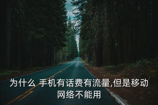 手機(jī)不能用移動(dòng)數(shù)據(jù)上網(wǎng)怎么回事兒