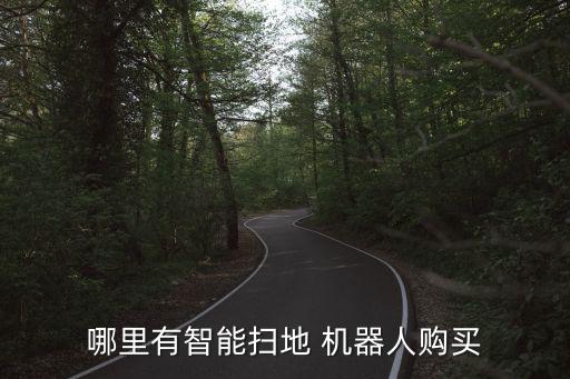 公園里機(jī)器人哪里有賣