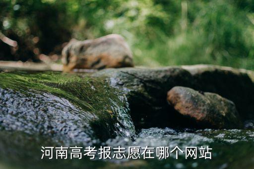x 考試教育大數(shù)據(jù)服務(wù)平臺(tái),河南省教育考試信息服務(wù)平臺(tái)