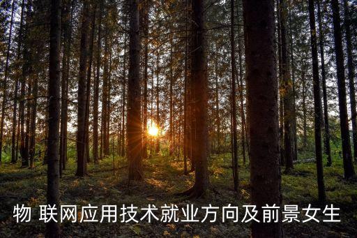 物 聯(lián)網(wǎng)應(yīng)用技術(shù)就業(yè)方向及前景女生