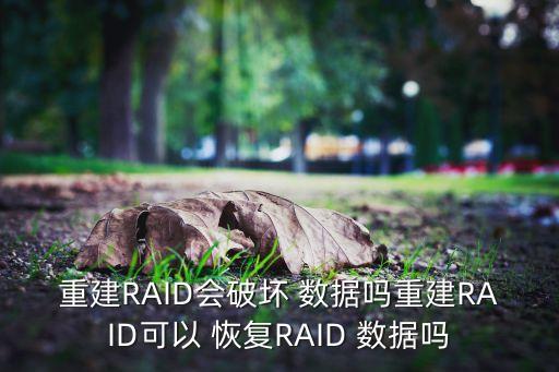 重建RAID會破壞 數(shù)據(jù)嗎重建RAID可以 恢復(fù)RAID 數(shù)據(jù)嗎