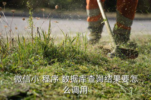  微信小 程序 數(shù)據(jù)庫查詢結(jié)果要怎么調(diào)用