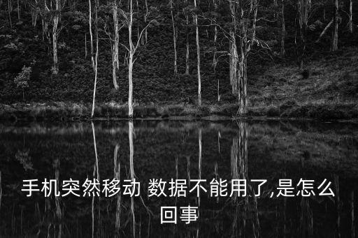 數(shù)據(jù)網(wǎng)絡(luò)不可用原因,華為手機(jī)數(shù)據(jù)網(wǎng)絡(luò)不可用什么原因