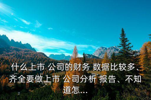 什么上市 公司的財(cái)務(wù) 數(shù)據(jù)比較多、齊全要做上市 公司分析 報(bào)告、不知道怎...