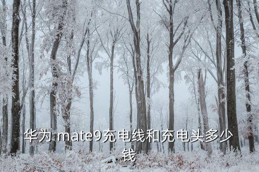 華為 mate9充電線和充電頭多少錢