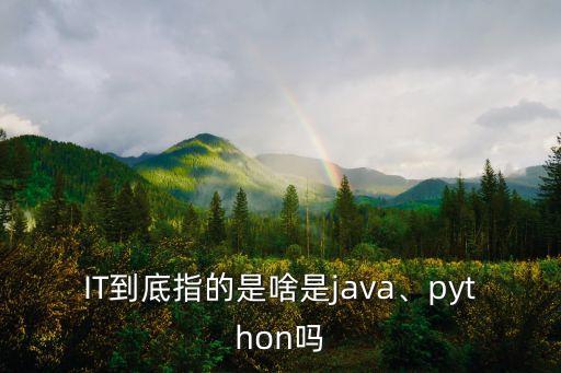 IT到底指的是啥是java、python嗎