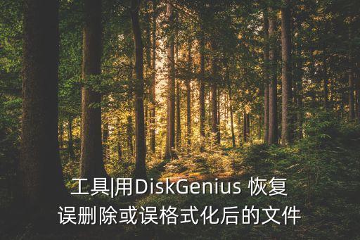 工具|用DiskGenius 恢復(fù)誤刪除或誤格式化后的文件