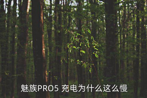  魅族PRO5 充電為什么這么慢