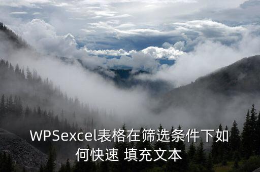 wps數(shù)據(jù)填充,WPs中數(shù)據(jù)驗(yàn)證在哪
