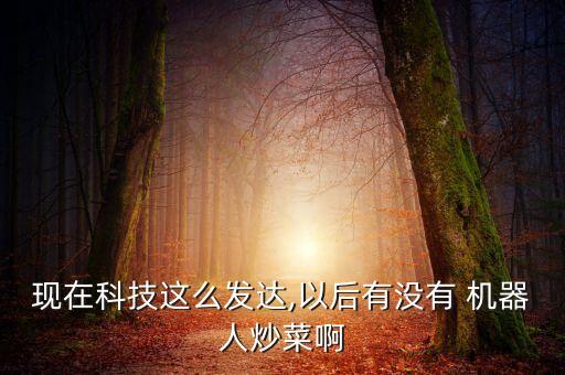 現(xiàn)在科技這么發(fā)達(dá),以后有沒(méi)有 機(jī)器人炒菜啊
