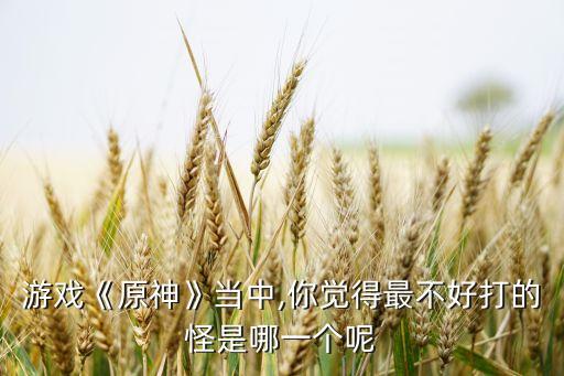 游戲《原神》當(dāng)中,你覺得最不好打的怪是哪一個(gè)呢