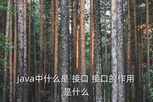 java中什么是 接口 接口的作用是什么