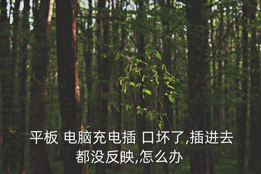  平板 電腦充電插 口壞了,插進去都沒反映,怎么辦