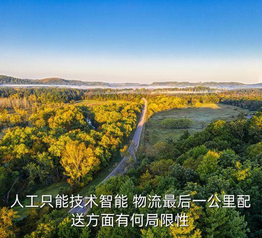 人工只能技術(shù)智能 物流最后一公里配送方面有何局限性