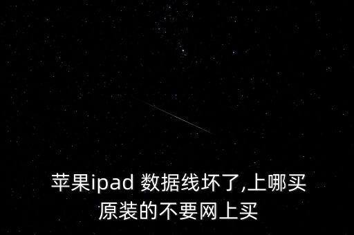 蘋果ipad 數(shù)據(jù)線壞了,上哪買 原裝的不要網(wǎng)上買