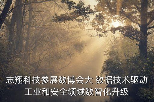 電力大數(shù)據(jù)期刊