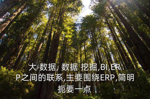大 數(shù)據(jù), 數(shù)據(jù) 挖掘,BI,ERP之間的聯(lián)系,主要圍繞ERP,簡明扼要一點(diǎn)