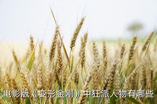 波音飛機(jī)機(jī)器人