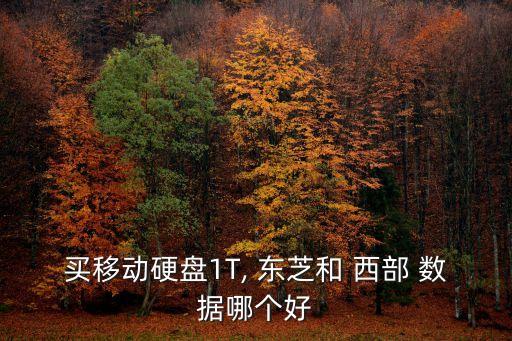 西部數據跟東芝,東芝好還是西部數據好