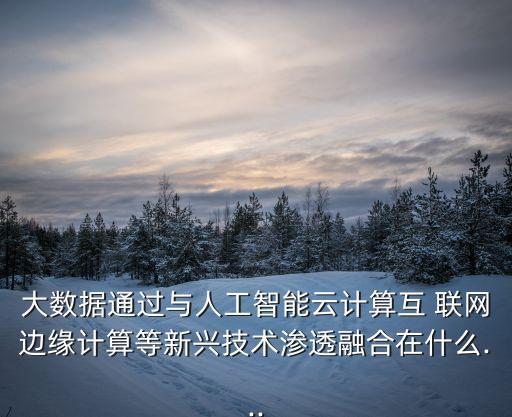 大數(shù)據(jù)通過與人工智能云計(jì)算互 聯(lián)網(wǎng)邊緣計(jì)算等新興技術(shù)滲透融合在什么...