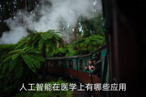人工智能在醫(yī)學(xué)上有哪些應(yīng)用