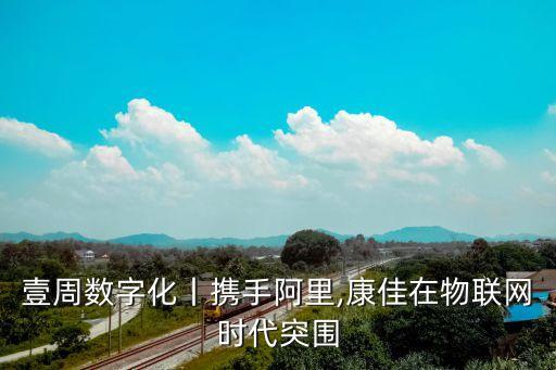中國 云計算 近年數(shù)據(jù),中國大數(shù)據(jù)云計算