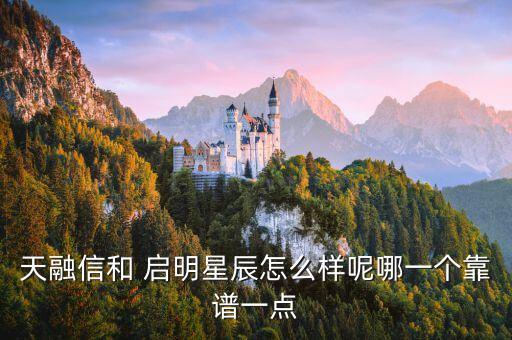 天融信和 啟明星辰怎么樣呢哪一個(gè)靠譜一點(diǎn)
