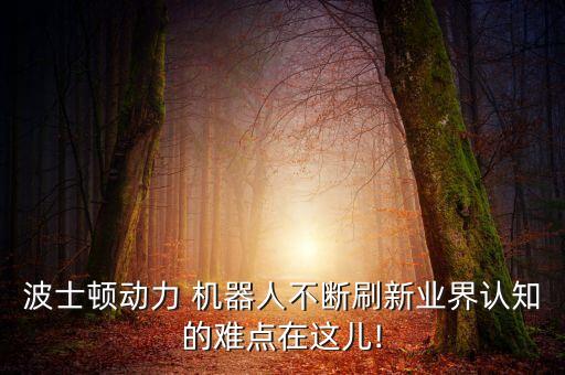 波士頓動力 機器人不斷刷新業(yè)界認知的難點在這兒!