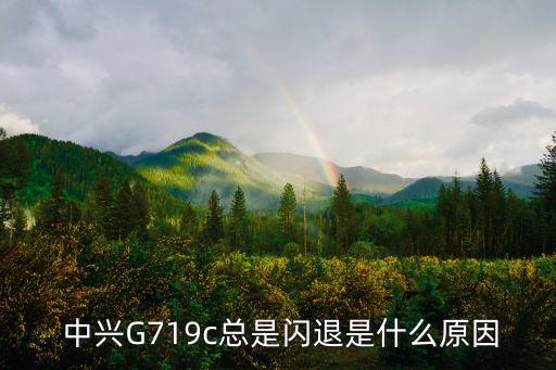  中興G719c總是閃退是什么原因