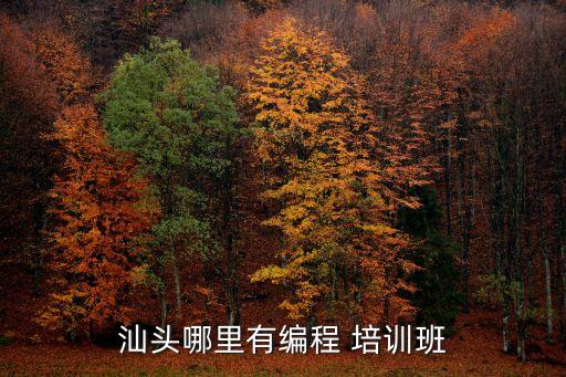 汕頭哪里有編程 培訓(xùn)班