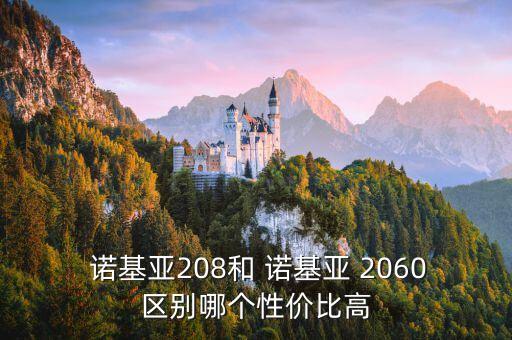 諾基亞208和 諾基亞 2060區(qū)別哪個性價比高
