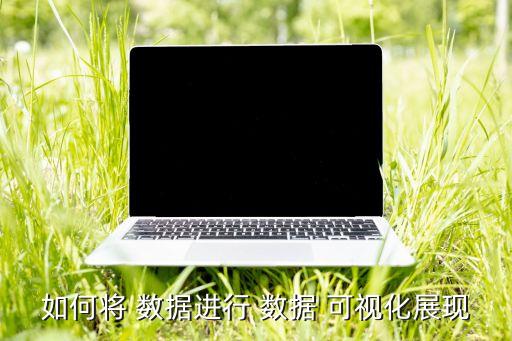 如何將 數(shù)據(jù)進(jìn)行 數(shù)據(jù) 可視化展現(xiàn)