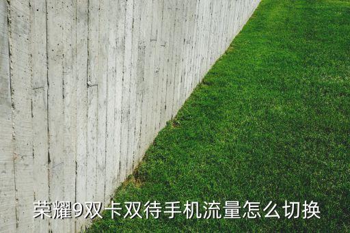 榮耀9移動(dòng)數(shù)據(jù),榮耀移動(dòng)數(shù)據(jù)打開(kāi)了卻沒(méi)有網(wǎng)怎么回事