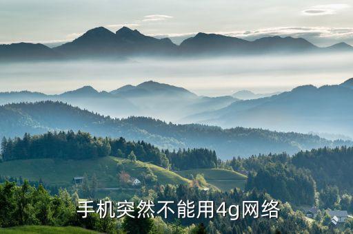 手機(jī)移動(dòng)數(shù)據(jù)不好使,小米手機(jī)用移動(dòng)數(shù)據(jù),為什么網(wǎng)絡(luò)不好用