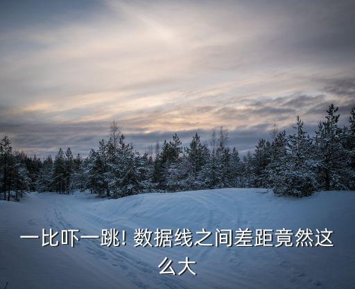 一比嚇一跳! 數(shù)據(jù)線之間差距竟然這么大