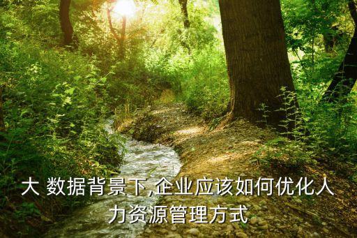 大 數(shù)據背景下,企業(yè)應該如何優(yōu)化人力資源管理方式