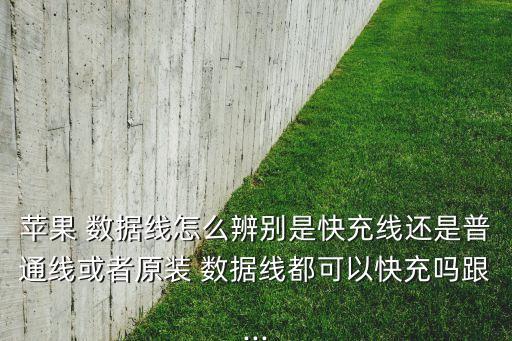 分辨iphone數(shù)據(jù)線,怎么分辨數(shù)據(jù)線是不是原裝的