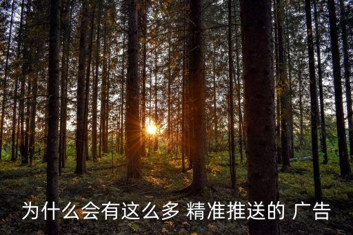 互聯(lián)網(wǎng)大數(shù)據(jù)精準(zhǔn)廣告,2020中國互聯(lián)網(wǎng)廣告數(shù)據(jù)報告