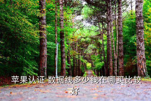  蘋果認證 數據線多少錢在哪買比較好