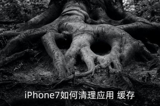 iPhone7如何清理應(yīng)用 緩存