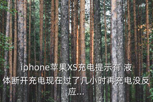 iphone蘋果XS充電提示有 液體斷開充電現(xiàn)在過了幾小時再充電沒反應(yīng)...