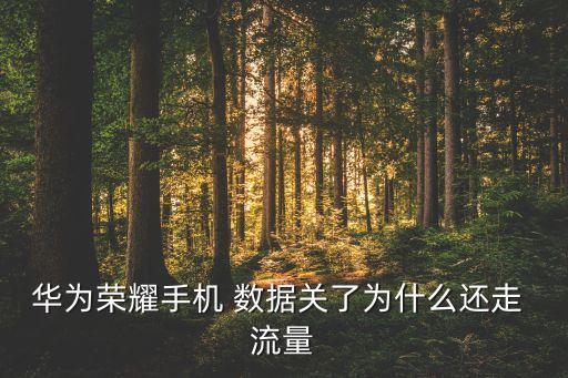 關(guān)閉數(shù)據(jù)漫游還會產(chǎn)生數(shù)據(jù)流量