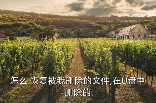 u盤數(shù)據(jù)誤刪如何恢復(fù)數(shù)據(jù),∪盤數(shù)據(jù)誤刪怎么恢復(fù)
