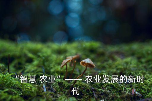 “智慧 農業(yè)”—— 農業(yè)發(fā)展的新時代