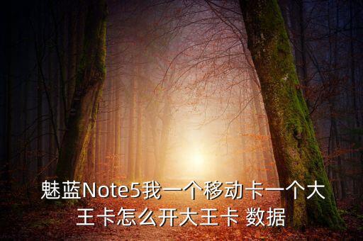  魅藍(lán)Note5我一個(gè)移動(dòng)卡一個(gè)大王卡怎么開大王卡 數(shù)據(jù)