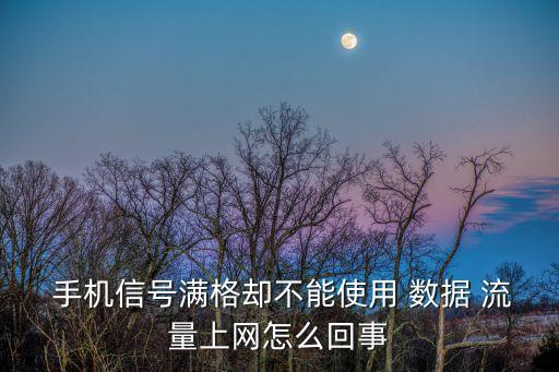  手機信號滿格卻不能使用 數(shù)據(jù) 流量上網(wǎng)怎么回事