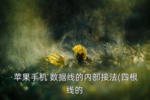  蘋果手機(jī) 數(shù)據(jù)線的內(nèi)部接法(四根線的