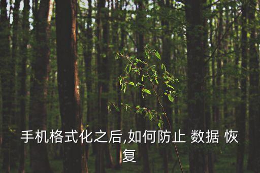 手機(jī)格式化之后,如何防止 數(shù)據(jù) 恢復(fù)