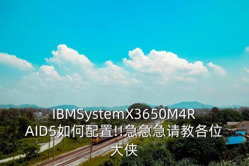 IBMSystemX3650M4RAID5如何配置!!急急急請(qǐng)教各位大俠